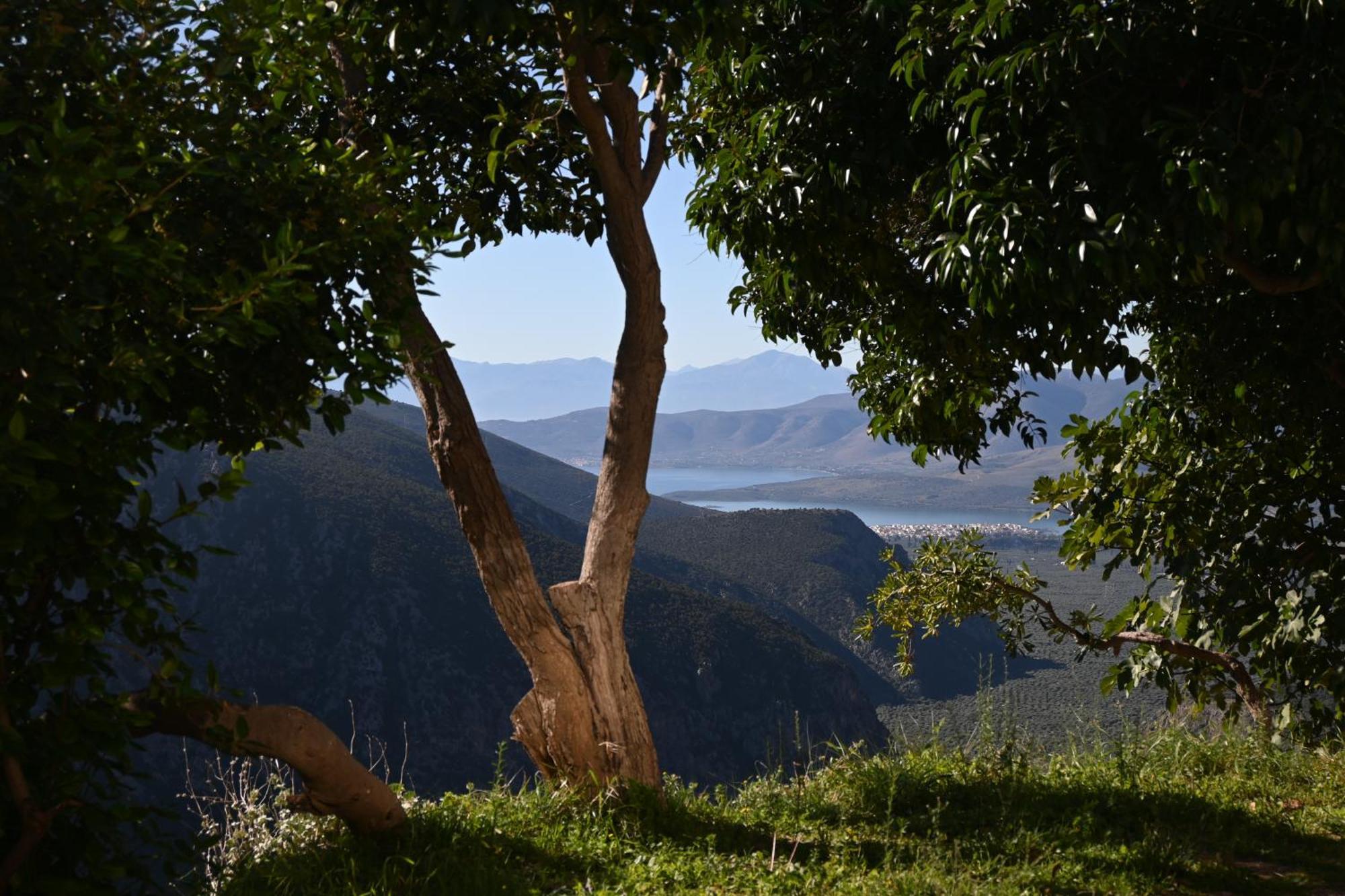 Komody Delphi Buitenkant foto